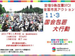 １１・３国会包囲大行動