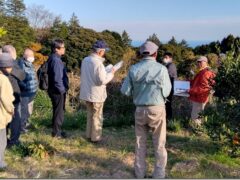 「明るい会」県政ウォッチ どうなっている！？ 神奈川の農業